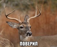  поверил