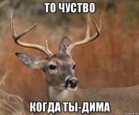 то чуство когда ты-дима