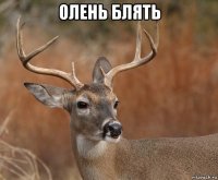 олень блять 