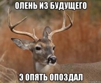 олень из будущего э опять опоздал