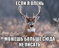 если я олень можешь больше сюда не писать