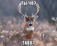 ты чо? таво?