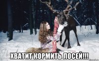  хватит кормить лосей!!!