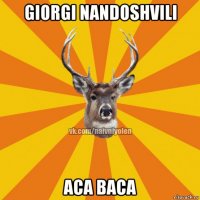 giorgi nandoshvili aca baca