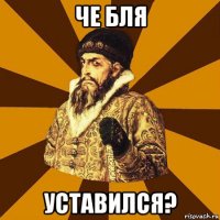 че бля уставился?