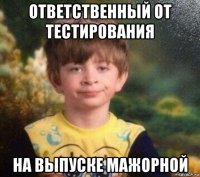 ответственный от тестирования на выпуске мажорной