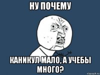 ну почему каникул мало, а учебы много?