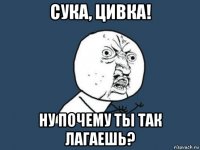 сука, цивка! ну почему ты так лагаешь?