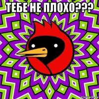 тебе не плохо??? 