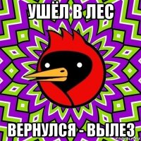 ушёл в лес вернулся - вылез