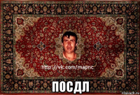  посдл