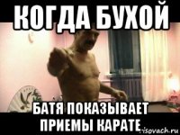 когда бухой батя показывает приемы карате