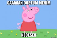 caaaaan dostum menİm necesen