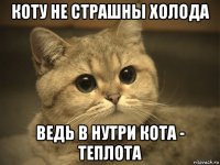 коту не страшны холода ведь в нутри кота - теплота