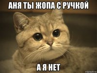 аня ты жопа с ручкой а я нет