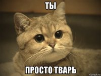 ты просто тварь