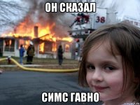 он сказал симс гавно