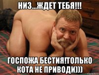 низ...ждет тебя!!! госпожа бестия!только кота не приводи)))