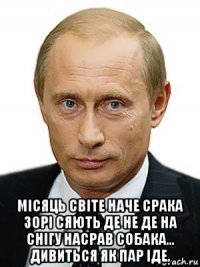  місяць світе наче срака зорі сяють де не де на снігу насрав собака... дивиться як пар іде.