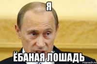 я ёбаная лошадь