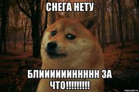 снега нету блииииииннннн за что!!!!!!!!!