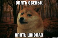 опять осень(( опять школа((