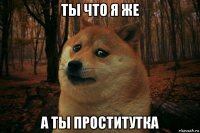 ты что я же а ты проститутка