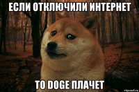 если отключили интернет то doge плачет