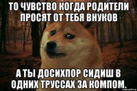 то чувство когда родители просят от тебя внуков а ты досихпор сидиш в одних труссах за компом.