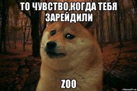 то чувство,когда тебя зарейдили zoo