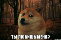  ты любишь меня?