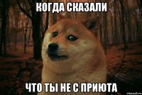 когда сказали что ты не с приюта