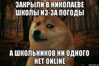 закрыли в николаеве школы из-за погоды а школьников ни одного нет online