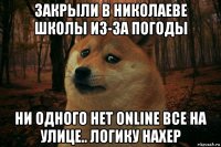 закрыли в николаеве школы из-за погоды ни одного нет online все на улице.. логику нахер