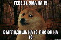 тебе 21, ума на 15 выглядишь на 13, писюн на 10