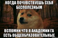 когда почувствуешь себя бесполезным вспомни что в академии га есть общеобразовательные