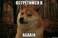 встретимся в agario