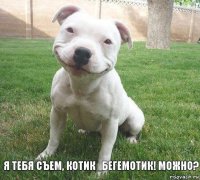 Я ТЕБЯ СЪЕМ, КОТИК_БЕГЕМОТИК! МОЖНО?