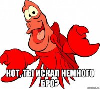  кот, ты искал немного бро?