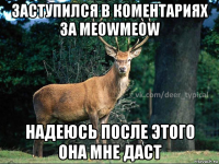 заступился в коментариях за meowmeow надеюсь после этого она мне даст