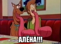  алёна!!!