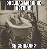 спецназ морские котики! вызывали?