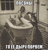 посоны го ее дыру порвем