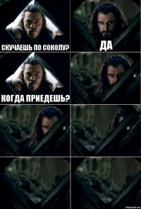 Скучаешь по Соколу? Да Когда приедешь?     