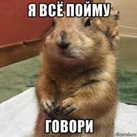 я всё пойму говори