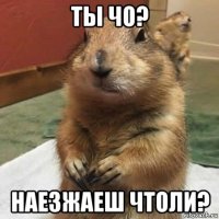 ты чо? наезжаеш чтоли?