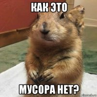 как это мусора нет?