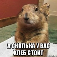  а сколька у вас хлеб стоит