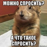 можно спросить? а что такое спросить?