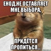 енод,не оставляет мне выбора, придётся пропиться...